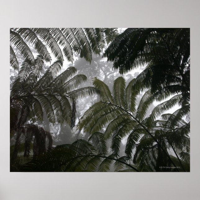 Póster Hawaii, Gran Isla, Hawai Volcanes Nacional (Frente)