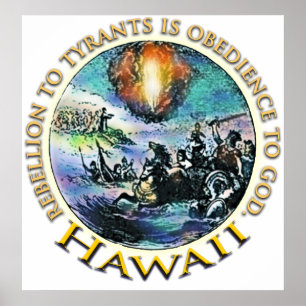 Póster Hawaii Tea Fiesta Poster