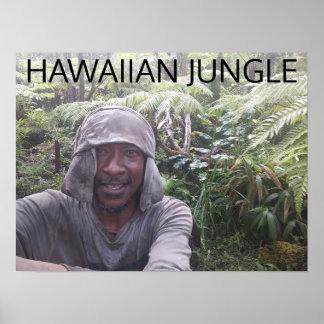 PÓSTER HAWAIIAN JUNGLE