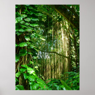 Póster Hawaiian Jungle Vines