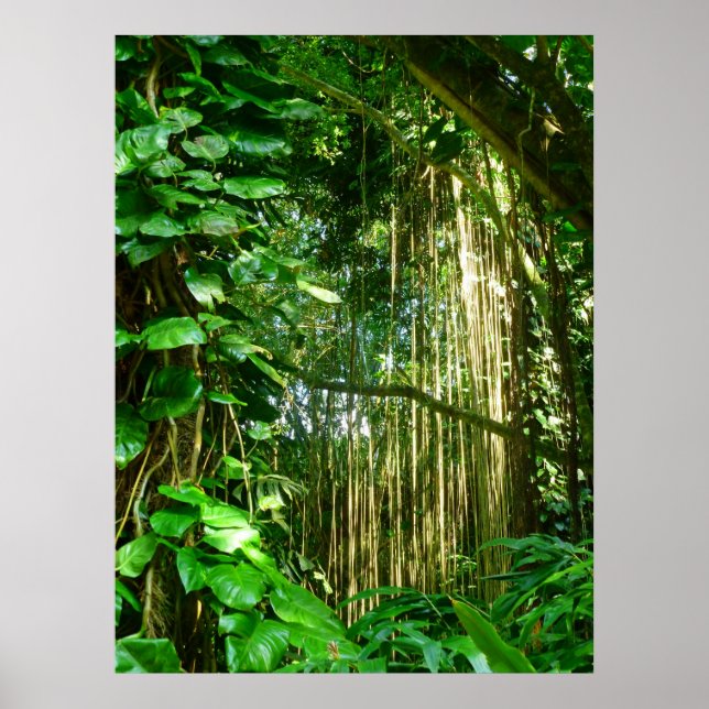 Póster Hawaiian Jungle Vines (Frente)