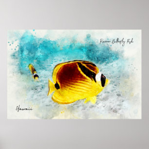 Póster Hawaiian Tropical Fish Watercolor - Butterflyfish