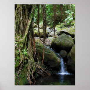 Póster Hawaiian Waterfall