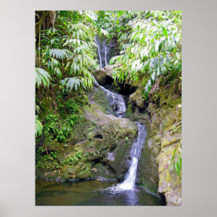 Póster Hawaiian Waterfall