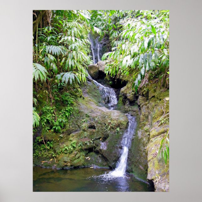 Póster Hawaiian Waterfall (Frente)