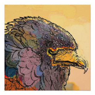 PÓSTER HAWK