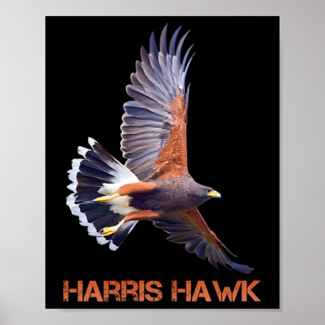 Póster Hawk Kamala Harris Por Presidente (Frente)