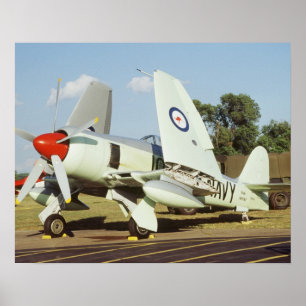 Póster Hawker Sea Fury en CAF, ala de Minnesota, en el