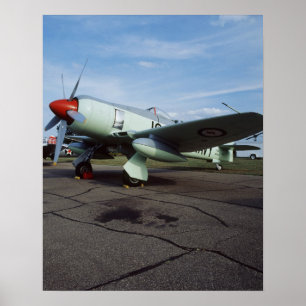 Póster Hawker Sea Fury en CAF, ala de Minnesota, en el 2