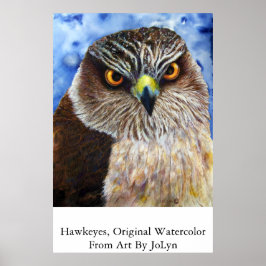 Póster Hawkeyes