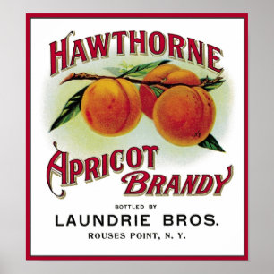 Póster Hawthorne Apricot Brandy