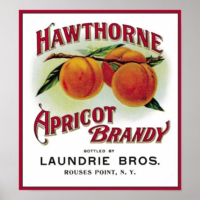 Póster Hawthorne Apricot Brandy (Frente)