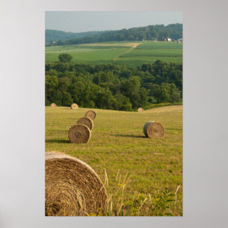 Póster Hay Bales de Campo