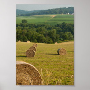 Póster Hay Bales de Campo