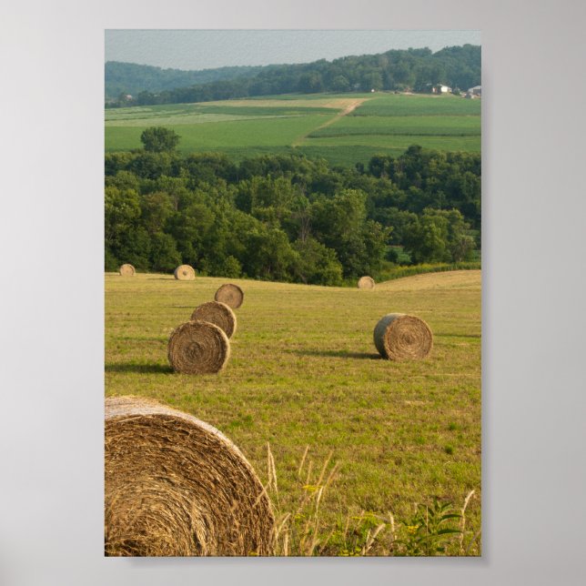 Póster Hay Bales de Campo (Frente)