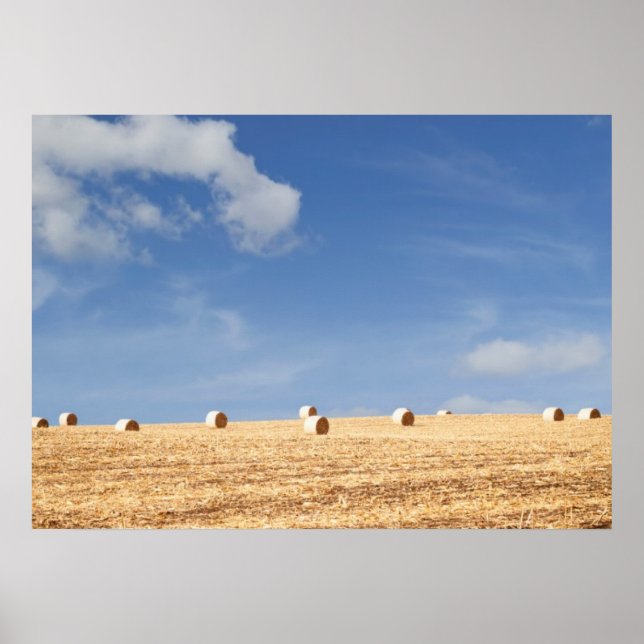 Póster Hay Bales en el campo (Frente)