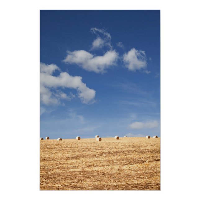 Póster Hay Bales en el campo (Anverso)