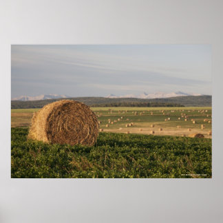 Póster Hay Bales En Un Campo Con Montañas Al Amanecer