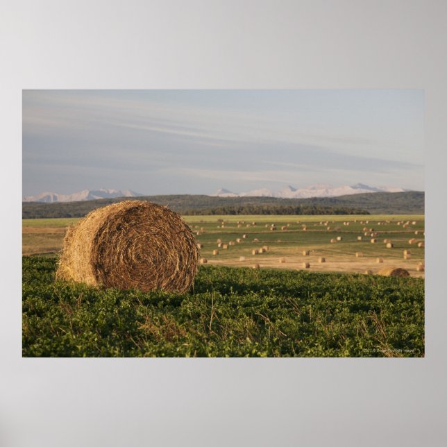 Póster Hay Bales En Un Campo Con Montañas Al Amanecer (Frente)