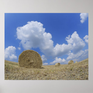 Póster Hay Bales in Field, Pienza, Val d'Orcia, Siena