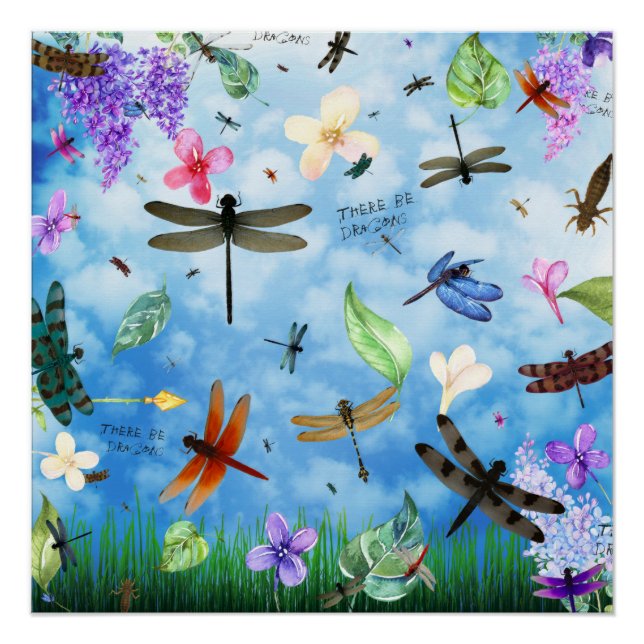 Póster Hay dragones (Anverso)