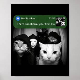 Póster Hay movimiento en la puerta principal gato diverti