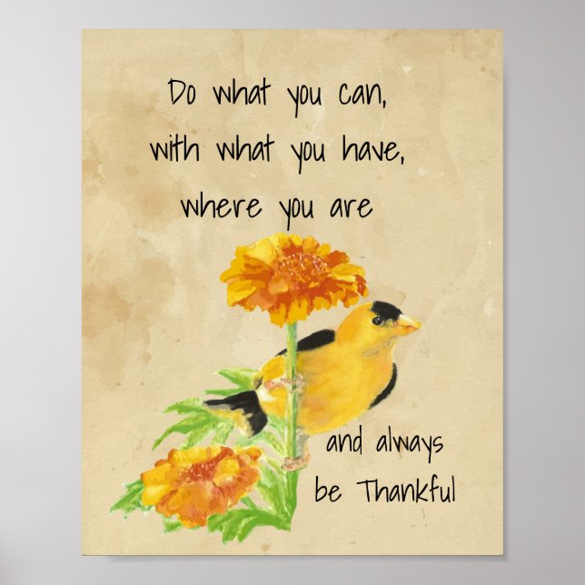 Póster Haz lo que puedas, con lo que tengas presupuesto (Frente)