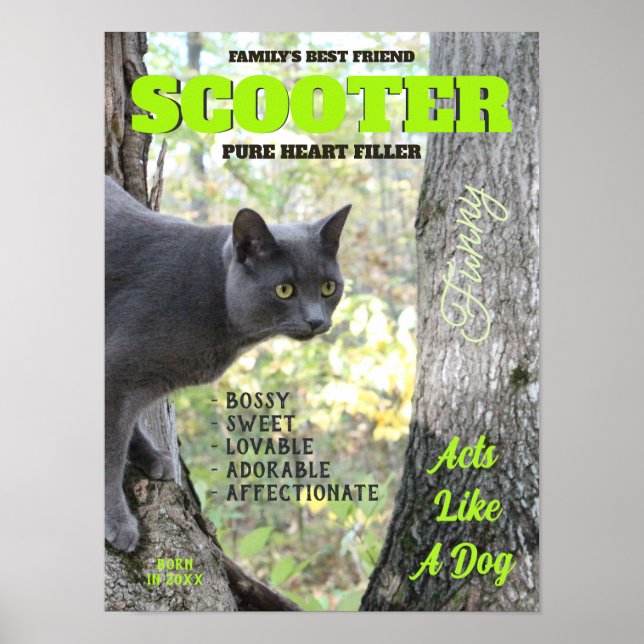 Póster Haz tu portada de la revista Kitty Cat (Frente)