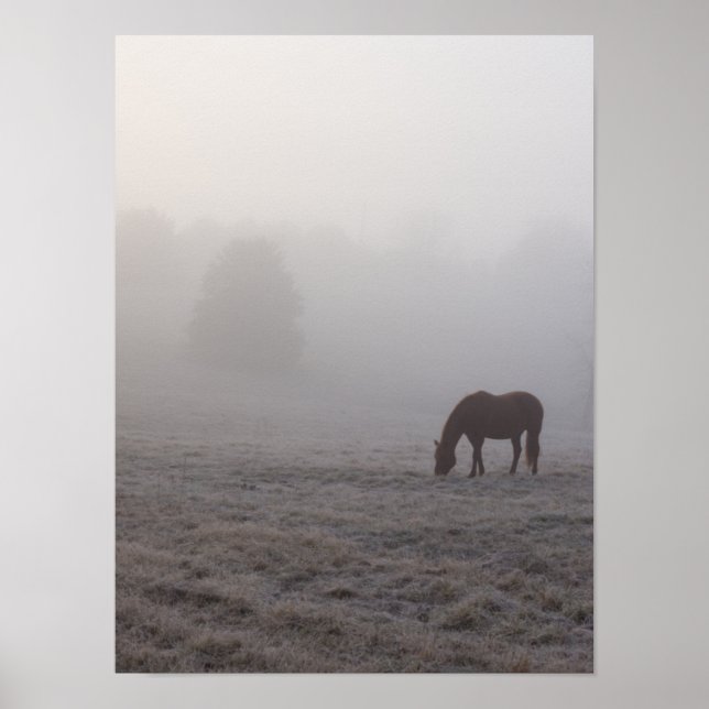 Póster Hazzy Grazing (Frente)