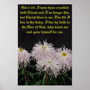 Póster He sido crucificado con Cristo