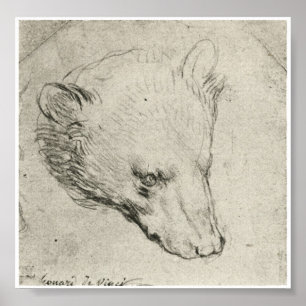 Póster Head of a Bear, Leonardo Da Vinci