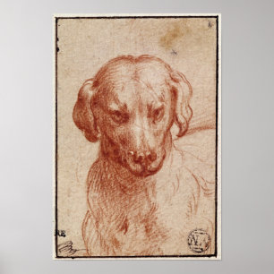 Póster Head of a Dog