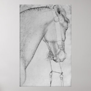 Póster Head of a horse, from the The Vallardi Album