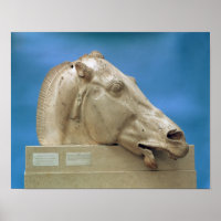 Head of one of the horses of Selene
