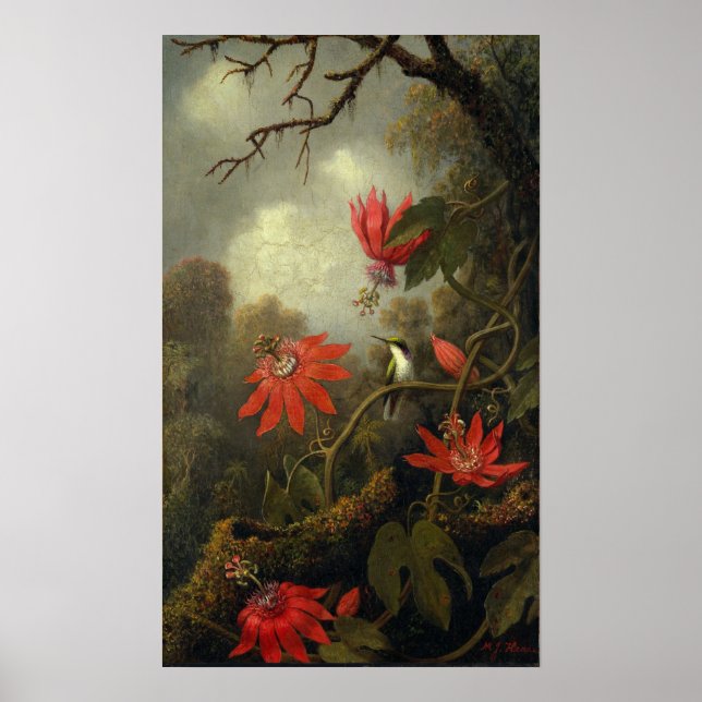 Póster Heade - Colibrí Y Flores De Pasión (Frente)