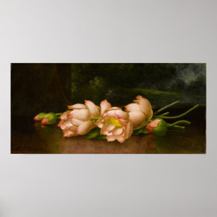 Póster Heade - Flores de Loto