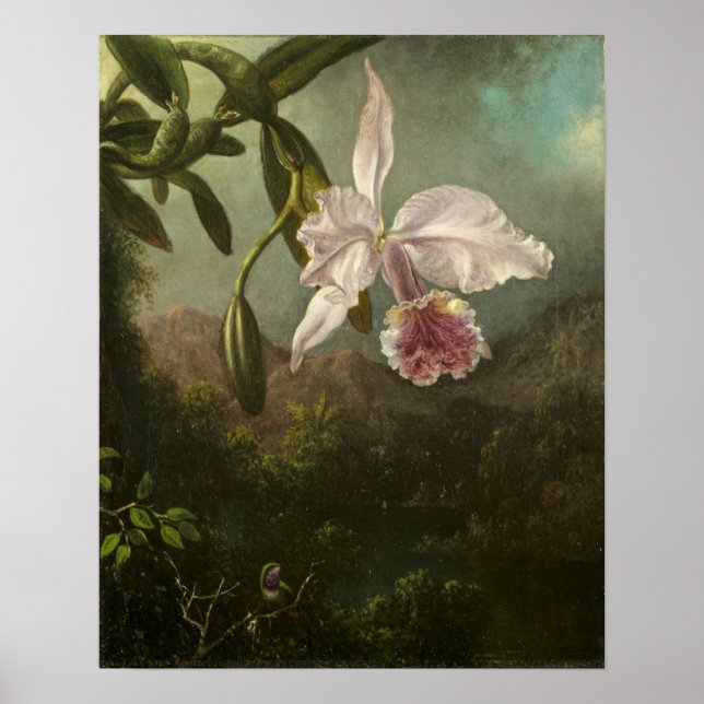 Póster Heade - Flores de orquídeas (Frente)