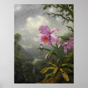 Póster Heade - Hummingbird Perched On The Orchid Plant