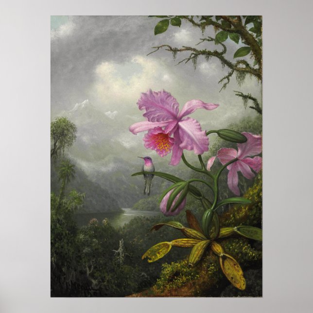 Póster Heade - Hummingbird Perched On The Orchid Plant (Frente)