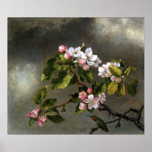 Póster Heade - Hummingbird Y Flores De Apple