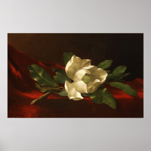 Póster Heade - Magnolia