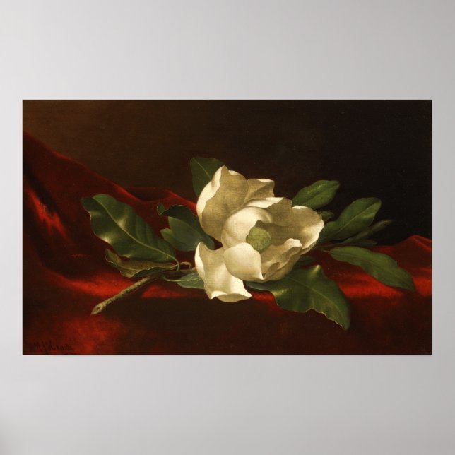 Póster Heade - Magnolia (Frente)