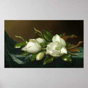 Póster Heade - Magnolias En Tela De Terciopelo Azul Claro