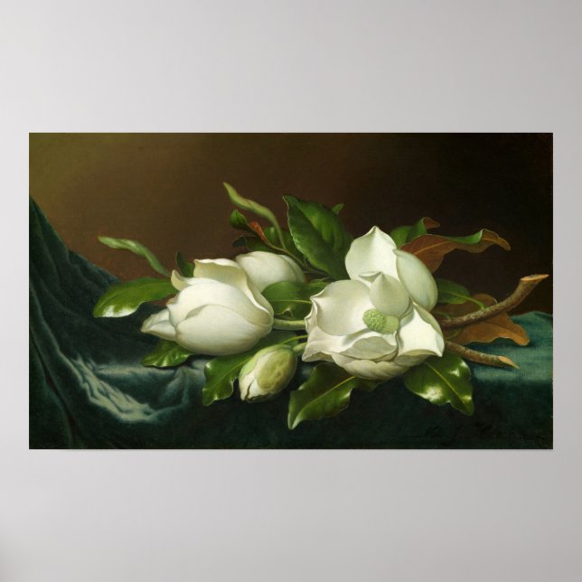 Póster Heade - Magnolias En Tela De Terciopelo Azul Claro (Frente)