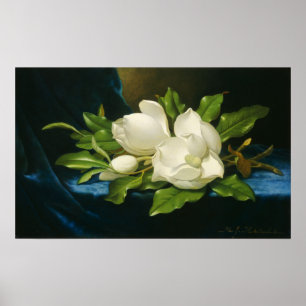 Póster Heade - Magnolias Gigantes En Un Paño De Terciopel