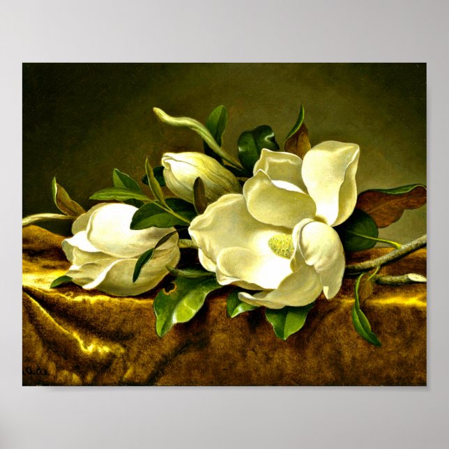 Póster Heade - Magnolias sobre tela de terciopelo de oro (Frente)