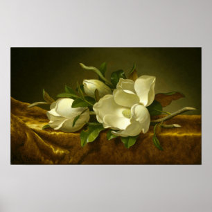 Póster Heade - Magnolias Sobre Tela de Terciopelo Dorado