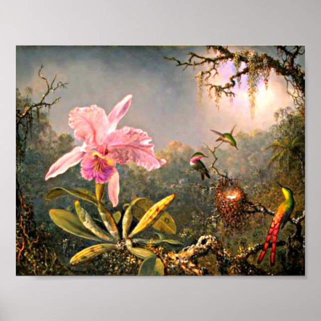Póster Heade - Orquídea Cattleya y tres Hummingbirds (Frente)
