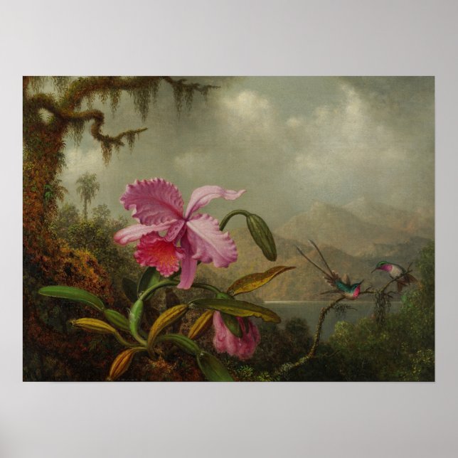 Póster Heade - Orquídeas y Colibríes 1875 (Frente)