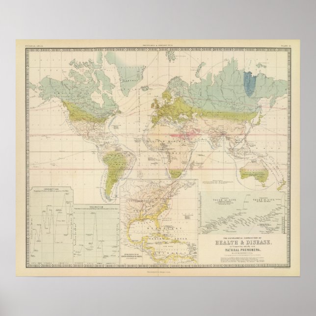 Póster Health, disease (Frente)